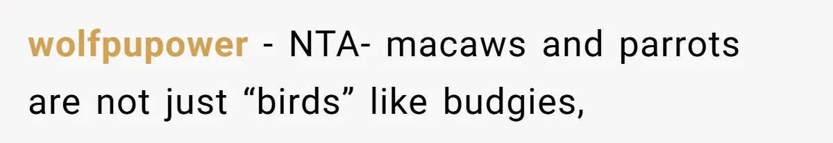 wolfpupower − NTA- macaws and parrots are not just “birds” like budgies,