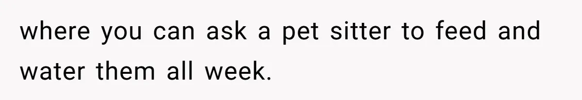 where you can ask a pet sitter to feed and water them all week.