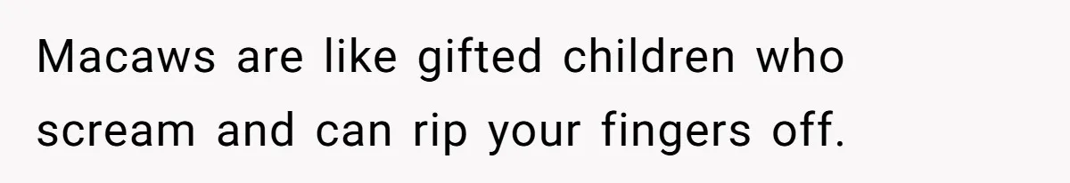 Macaws are like gifted children who scream and can rip your fingers off.