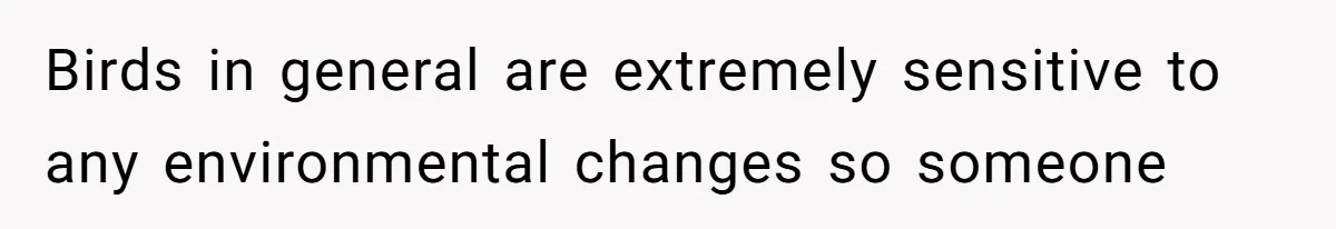 Birds in general are extremely sensitive to any environmental changes so someone