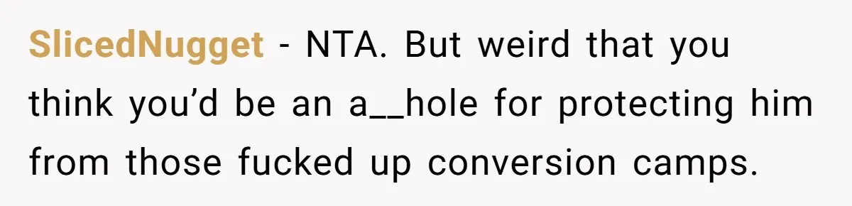 SlicedNugget − NTA. But weird that you think you’d be an a__hole for protecting him from those fucked up conversion camps.