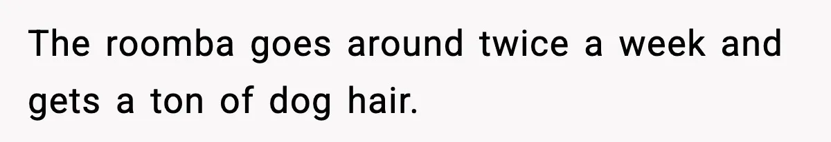 The roomba goes around twice a week and gets a ton of dog hair.