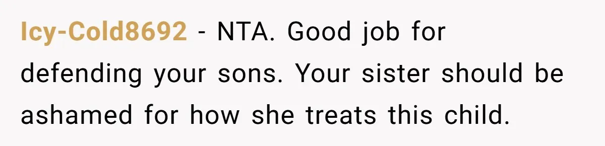 Icy-Cold8692 − NTA. Good job for defending your sons. Your sister should be ashamed for how she treats this child.