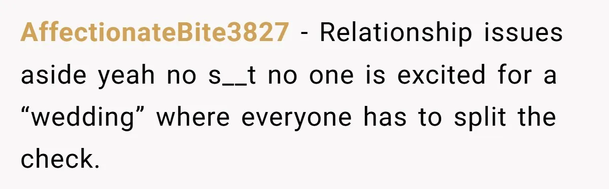 AffectionateBite3827 − Relationship issues aside yeah no s__t no one is excited for a “wedding” where everyone has to split the check.