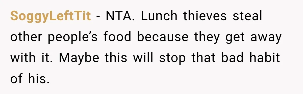 SoggyLeftTit − NTA. Lunch thieves steal other people’s food because they get away with it. Maybe this will stop that bad habit of his.