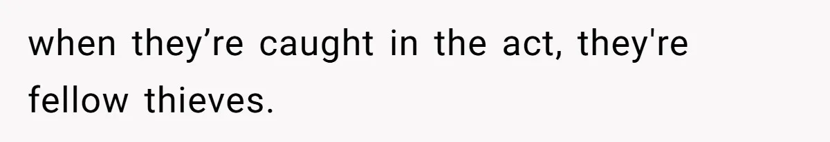 when they’re caught in the act, they're fellow thieves.