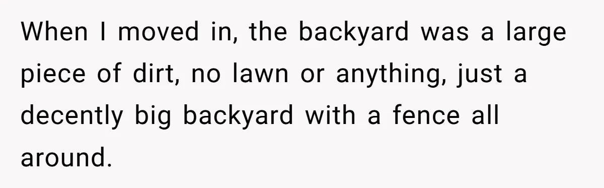 When I moved in, the backyard was a large piece of dirt, no lawn or anything, just a decently big backyard with a fence all around.