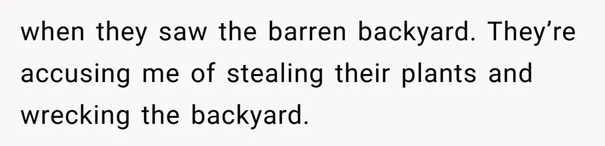 when they saw the barren backyard. They’re accusing me of stealing their plants and wrecking the backyard.