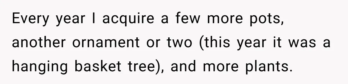 Every year I acquire a few more pots, another ornament or two (this year it was a hanging basket tree), and more plants.