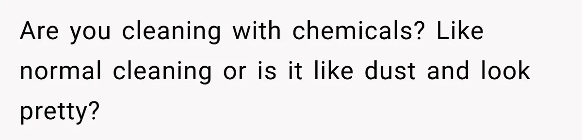 Are you cleaning with chemicals? Like normal cleaning or is it like dust and look pretty?