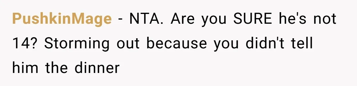 PushkinMage − NTA. Are you SURE he's not 14? Storming out because you didn't tell him the dinner