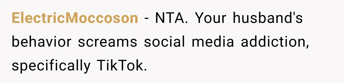 ElectricMoccoson − NTA. Your husband's behavior screams social media addiction, specifically TikTok.