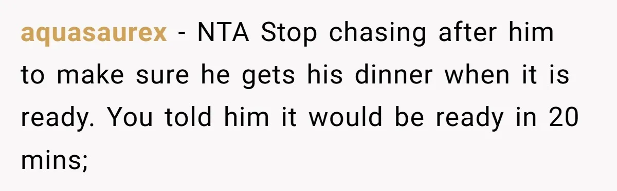 aquasaurex − NTA Stop chasing after him to make sure he gets his dinner when it is ready. You told him it would be ready in 20 mins;