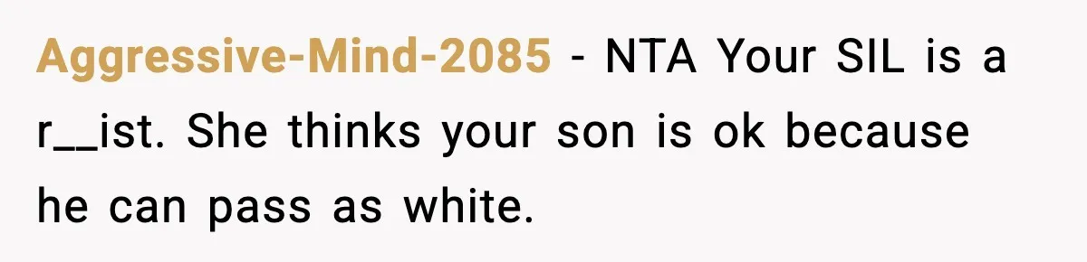 Aggressive-Mind-2085 - NTA Your SIL is a r__ist. She thinks your son is ok because he can pass as white.
