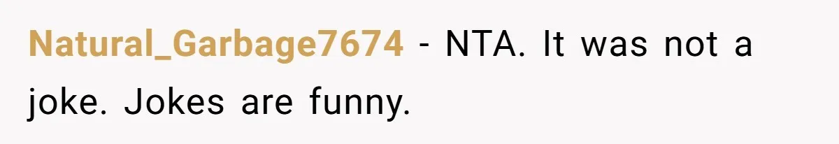 Natural_Garbage7674 − NTA. It was not a joke. Jokes are funny.