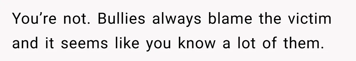 You’re not. Bullies always blame the victim and it seems like you know a lot of them.