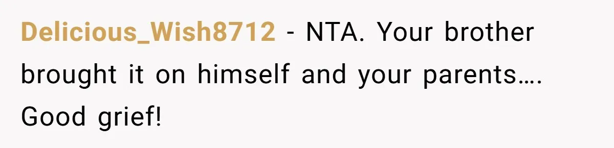 Delicious_Wish8712 − NTA. Your brother brought it on himself and your parents…. Good grief!