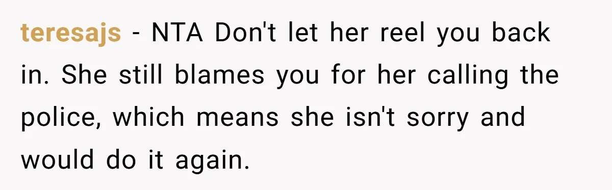 teresajs − NTA Don't let her reel you back in. She still blames you for her calling the police, which means she isn't sorry and would do it again.