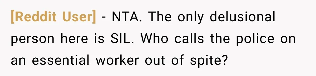 [Reddit User] − NTA. The only delusional person here is SIL. Who calls the police on an essential worker out of spite?