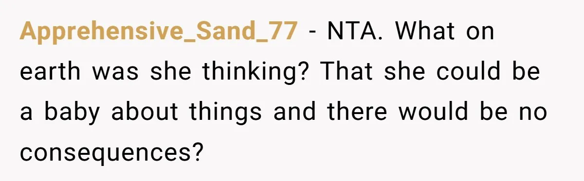 Apprehensive_Sand_77 − NTA. What on earth was she thinking? That she could be a baby about things and there would be no consequences?