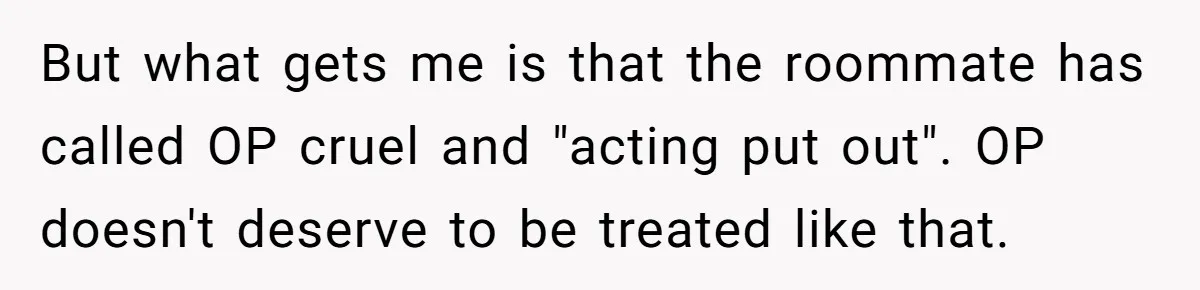 But what gets me is that the roommate has called OP cruel and "acting put out". OP doesn't deserve to be treated like that.