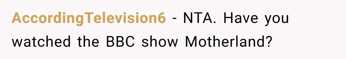 AccordingTelevision6 − NTA. Have you watched the BBC show Motherland?
