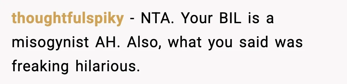 thoughtfulspiky - NTA. Your BIL is a misogynist AH. Also, what you said was freaking hilarious.
