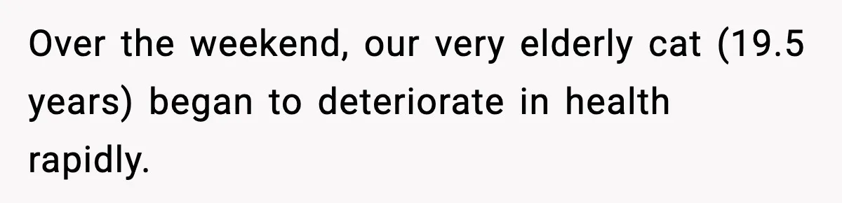 Over the weekend, our very elderly cat (19.5 years) began to deteriorate in health rapidly.