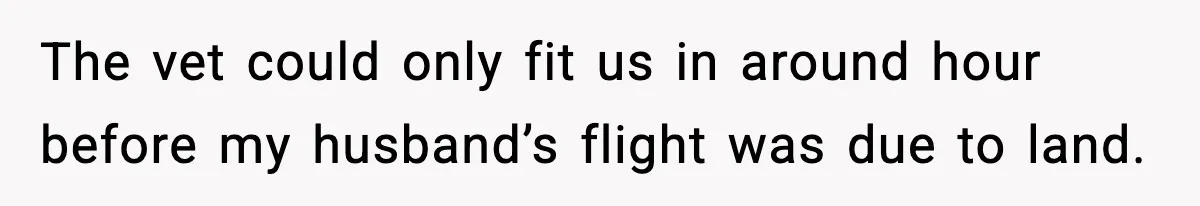 The vet could only fit us in around hour before my husband’s flight was due to land.