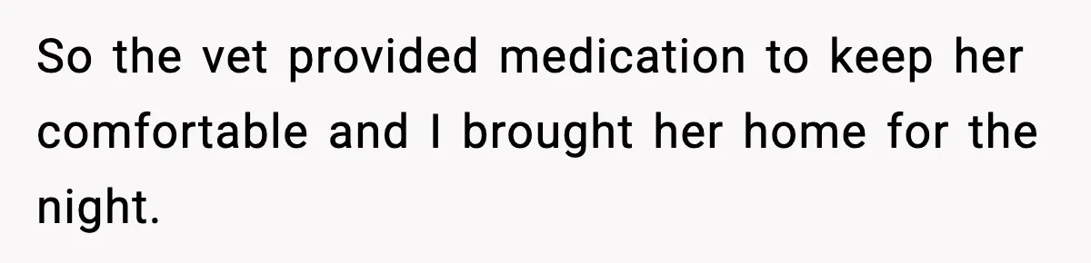So the vet provided medication to keep her comfortable and I brought her home for the night.