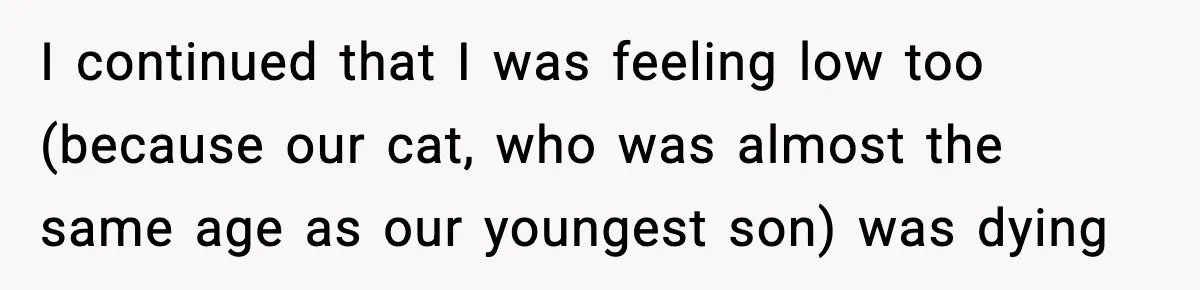 I continued that I was feeling low too (because our cat, who was almost the same age as our youngest son) was dying