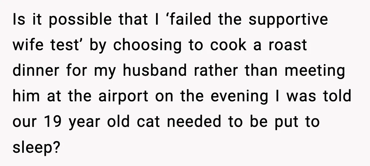 Is it possible that I ‘failed the supportive wife test’ by choosing to cook a roast dinner for my husband rather than meeting him at the airport on the evening...