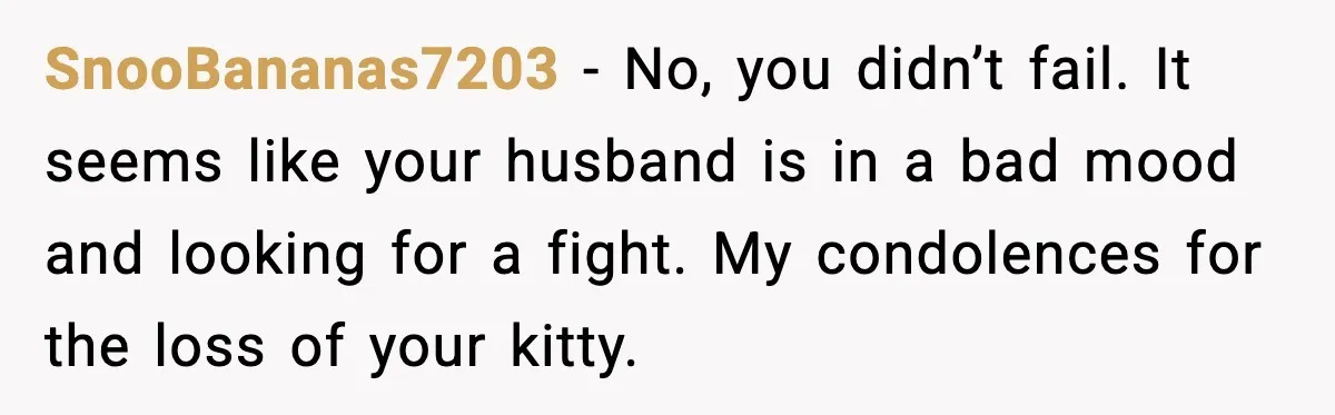 SnooBananas7203 - No, you didn’t fail. It seems like your husband is in a bad mood and looking for a fight. My condolences for the loss of your kitty.