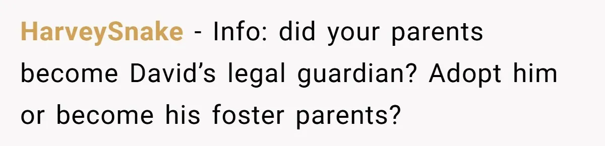 HarveySnake − Info: did your parents become David’s legal guardian? Adopt him or become his foster parents?