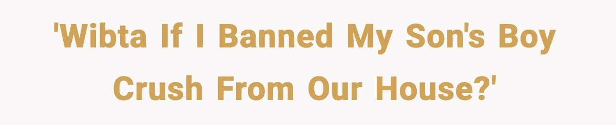 'WIBTA if I banned my son's boy crush from our house?'