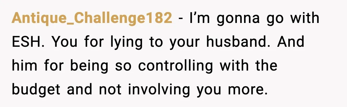 Antique_Challenge182 - I’m gonna go with ESH. You for lying to your husband. And him for being so controlling with the budget and not involving you more.