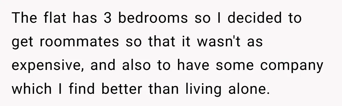 The flat has 3 bedrooms so I decided to get roommates so that it wasn't as expensive, and also to have some company which I find better than living alone.