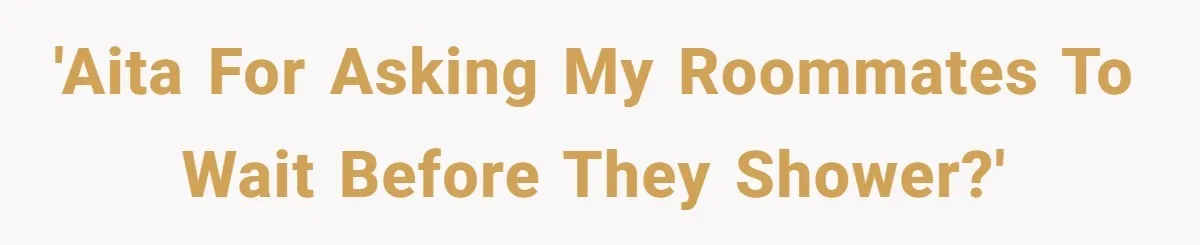 'AITA for asking my roommates to wait before they shower?'