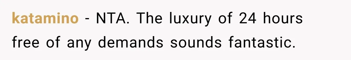 katamino − NTA. The luxury of 24 hours free of any demands sounds fantastic.
