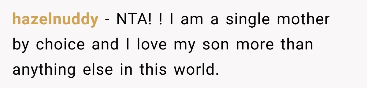 hazelnuddy − NTA! ! I am a single mother by choice and I love my son more than anything else in this world.