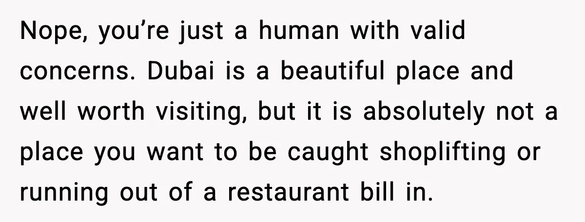 Friend Adds Known Shoplifter to Dubai Trip, Then Calls Me r__ist When I Cancel Nope, you’re just a human with valid concerns. Dubai is a beautiful place and well worth visiting, but it is absolutely not a place you want to be caught shoplifting...