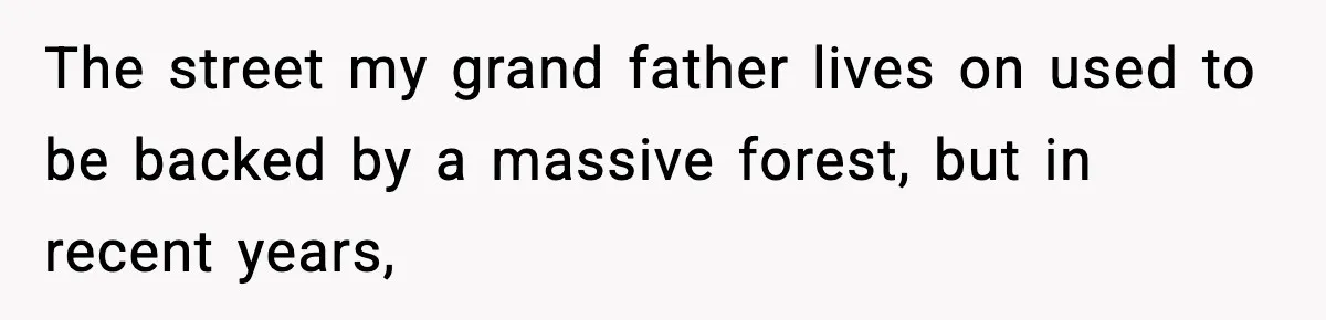 The street my grand father lives on used to be backed by a massive forest, but in recent years,