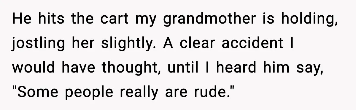 He hits the cart my grandmother is holding, jostling her slightly. A clear accident I would have thought, until I heard him say, "Some people really are rude."