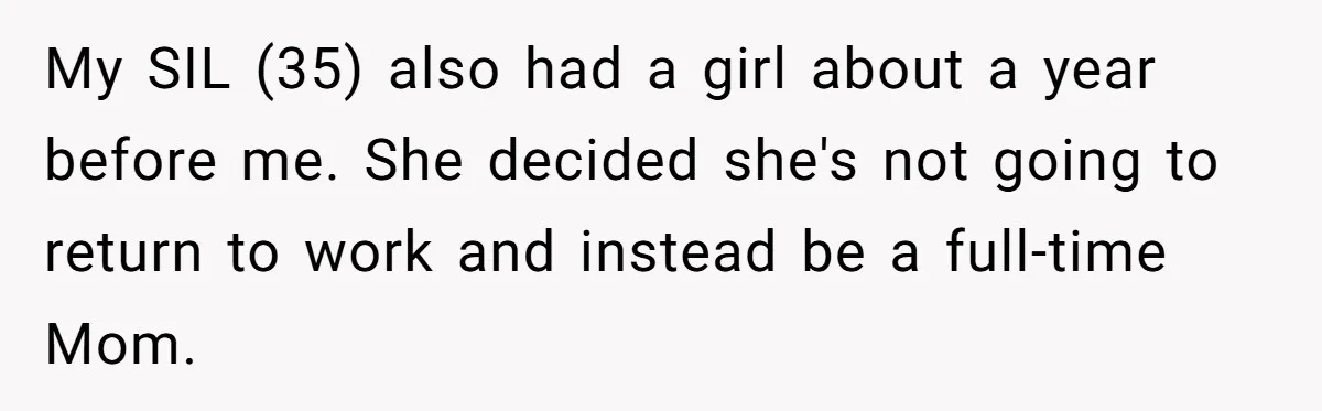 She Mom-Shamed Her Sister-in-Law at Dinner. The Clapback Left the Table Silent. My SIL (35) also had a girl about a year before me. She decided she's not going to return to work and instead be a full-time Mom.