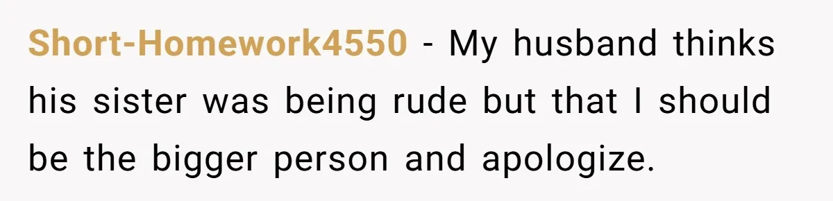She Mom-Shamed Her Sister-in-Law at Dinner. The Clapback Left the Table Silent. Short-Homework4550 − My husband thinks his sister was being rude but that I should be the bigger person and apologize.