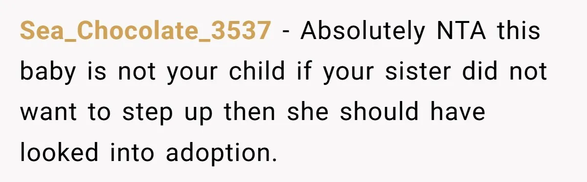Sea_Chocolate_3537 − Absolutely NTA this baby is not your child if your sister did not want to step up then she should have looked into adoption.