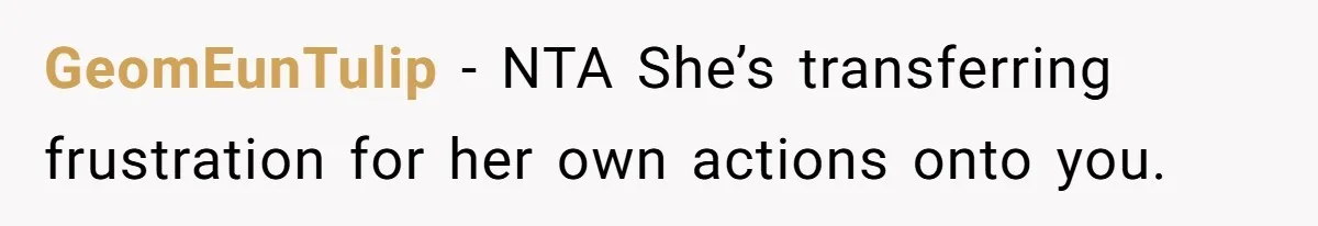 GeomEunTulip − NTA She’s transferring frustration for her own actions onto you.