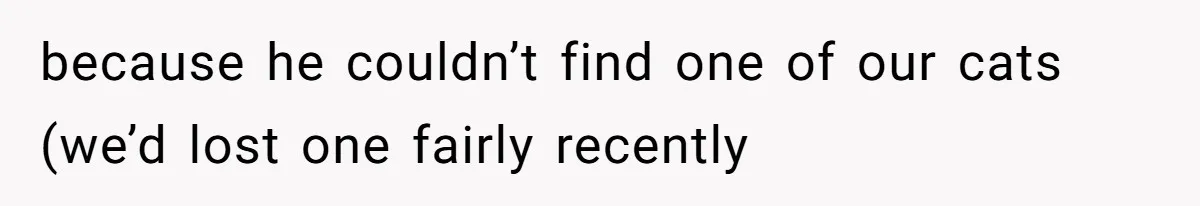 because he couldn’t find one of our cats (we’d lost one fairly recently