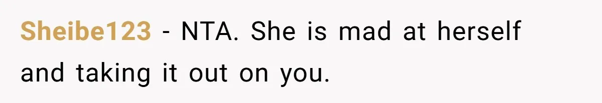 Sheibe123 − NTA. She is mad at herself and taking it out on you.