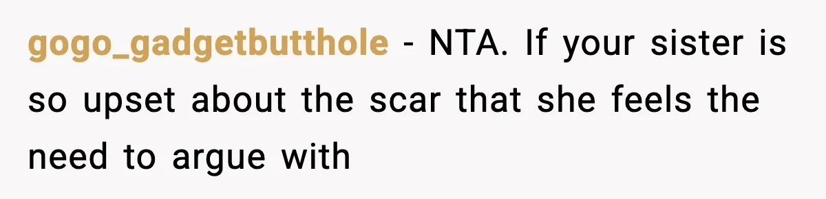 Sister Tells Bride To Cover Burn Scar, Groom Uninvites Her From The Wedding gogo_gadgetbutthole − NTA. If your sister is so upset about the scar that she feels the need to argue with